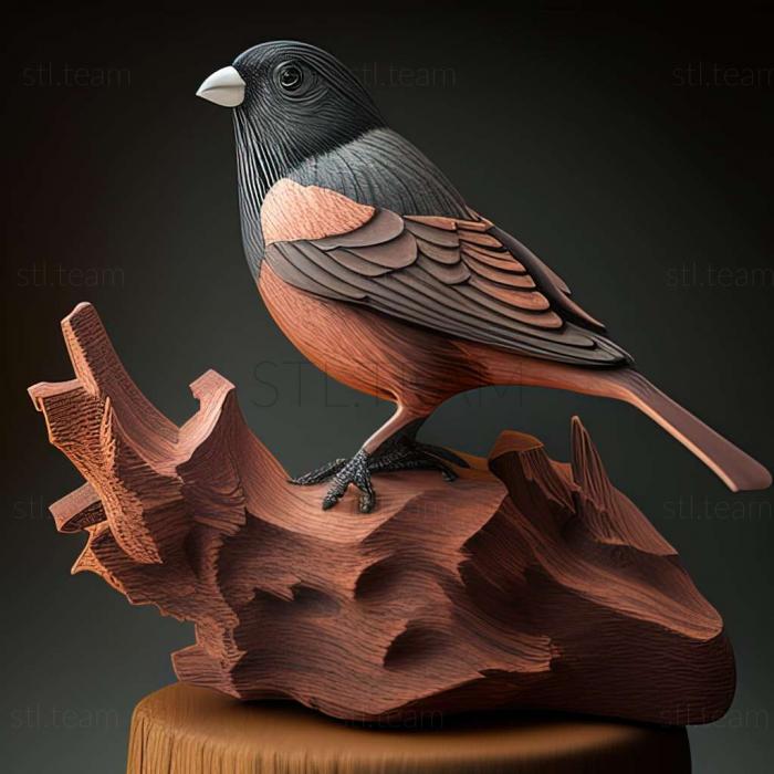 3D model Junco insularis (STL)